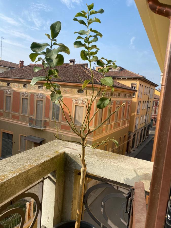 Loft Manzoni 37 Apartment Cremona Ngoại thất bức ảnh